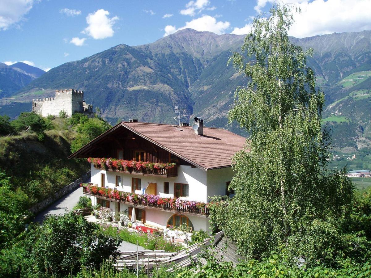 Schlosshof Zu Montani Morter Zewnętrze zdjęcie