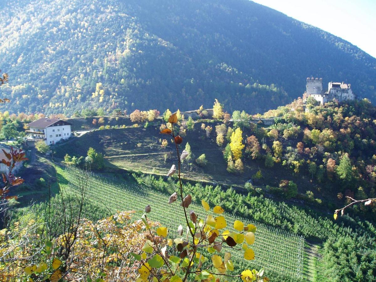 Schlosshof Zu Montani Morter Zewnętrze zdjęcie