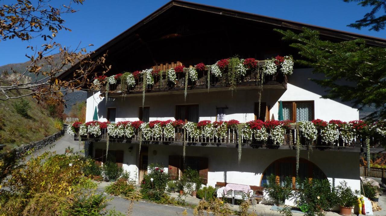 Schlosshof Zu Montani Morter Zewnętrze zdjęcie